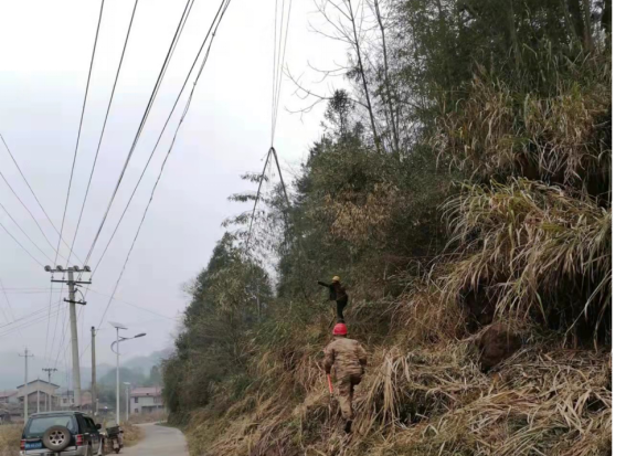 17f0185cf29f26deee0d7394992bb93c398.png 17f0185cf29f26deee0d7394992bb93c398.png